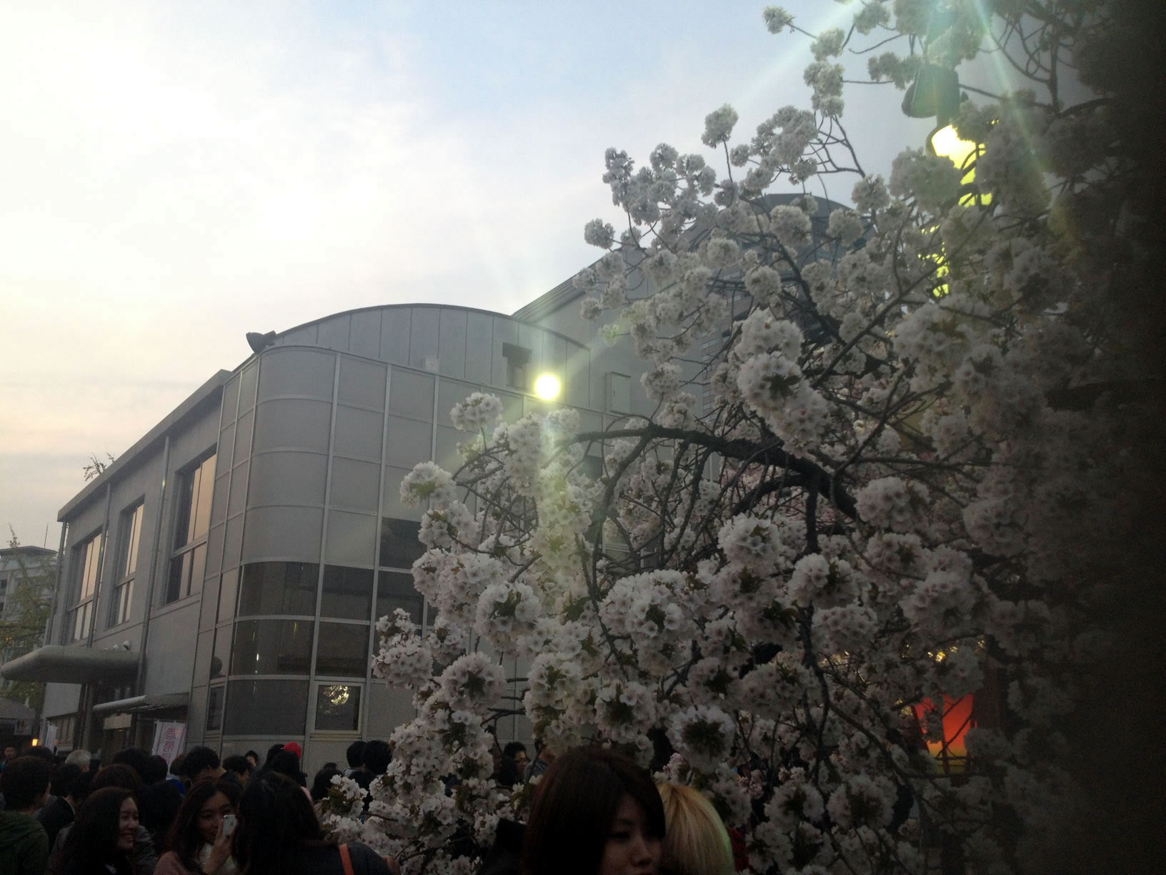 2014年の造幣局桜の通り抜け34 2014年の造幣局桜の通り抜け34